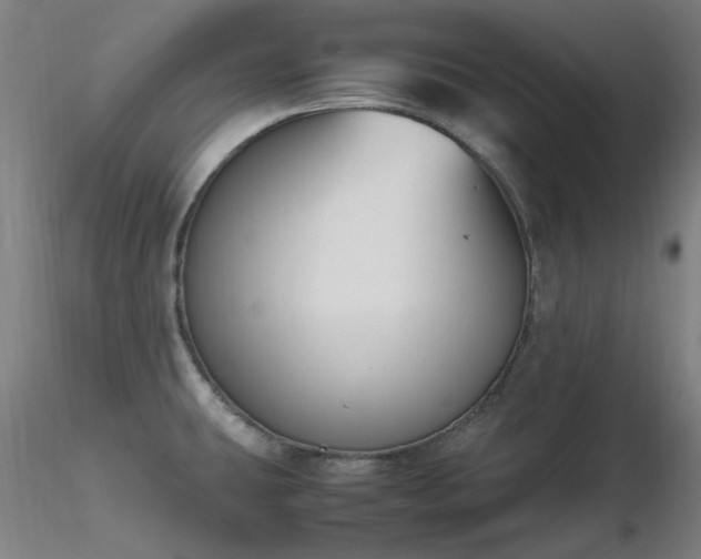 X0000116841431200912181447