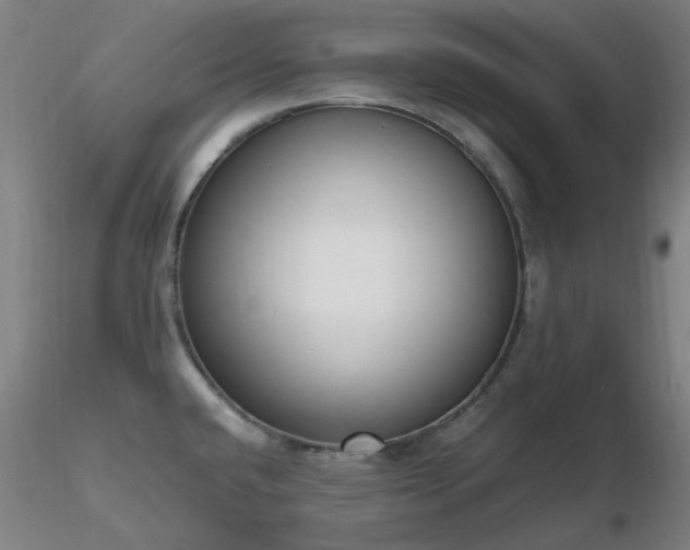 X0000116841432200912181447