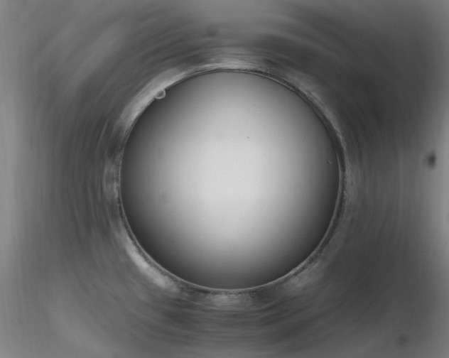 X0000116841433200912181447