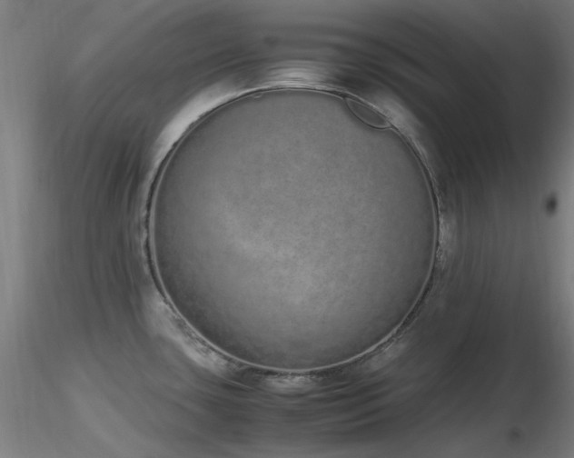 X0000116841435200912181447
