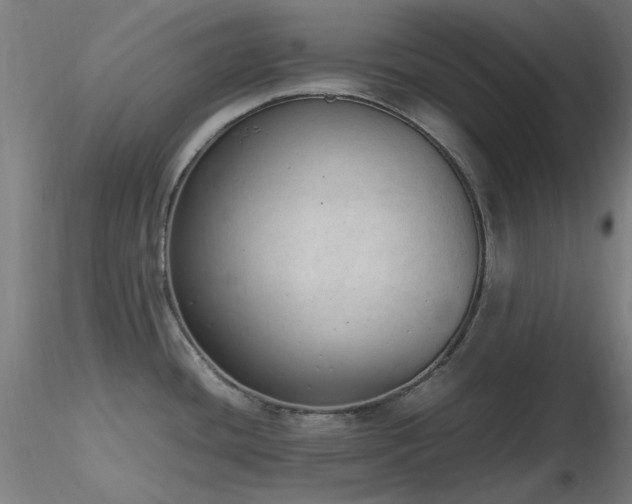 X0000116841436200912181447