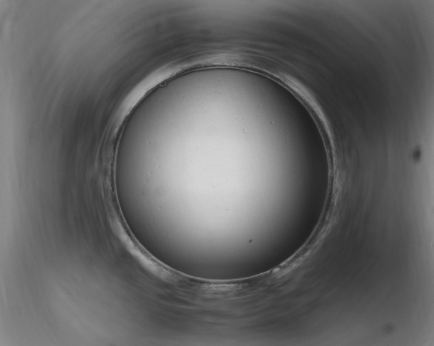 X0000116841437200912181447