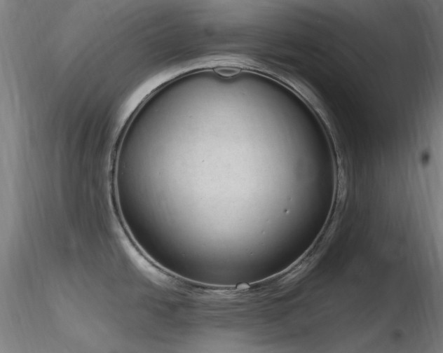 X0000116841438200912181447