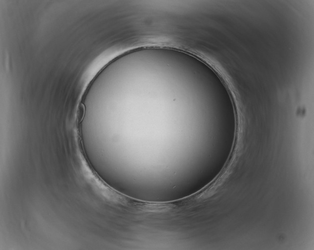 X0000116841440200912181447