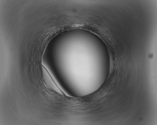 X0000116841441200912181446