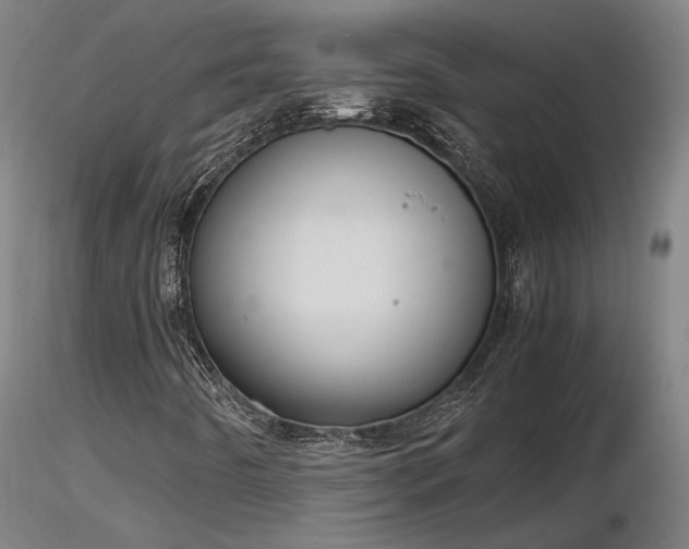 X0000116841442200912181446