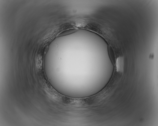 X0000116841443200912181446
