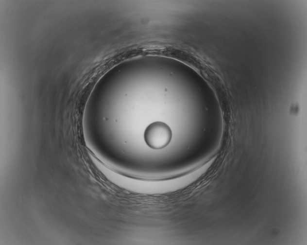 X0000116841445200912181446