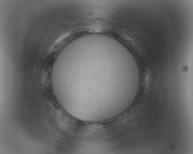 X0000116841446200912181446