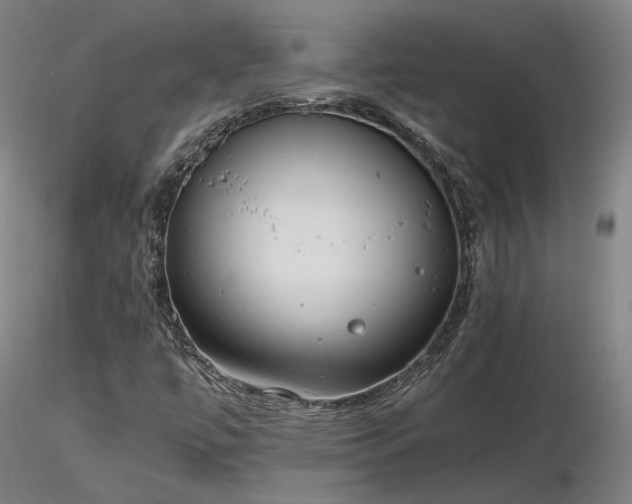 X0000116841447200912181446