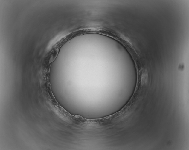 X0000116841448200912181446