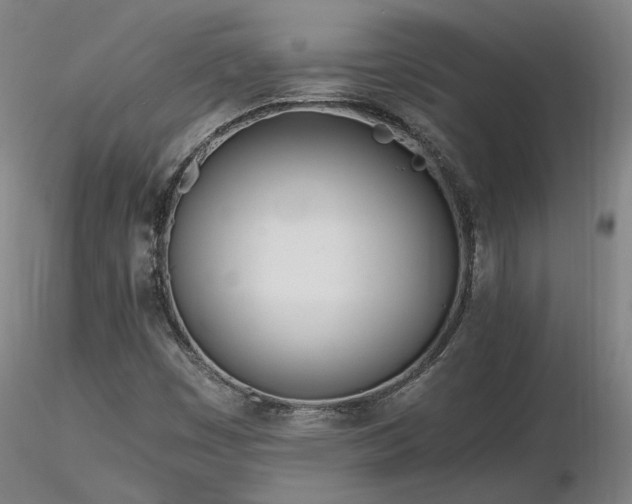 X0000116841449200912181446