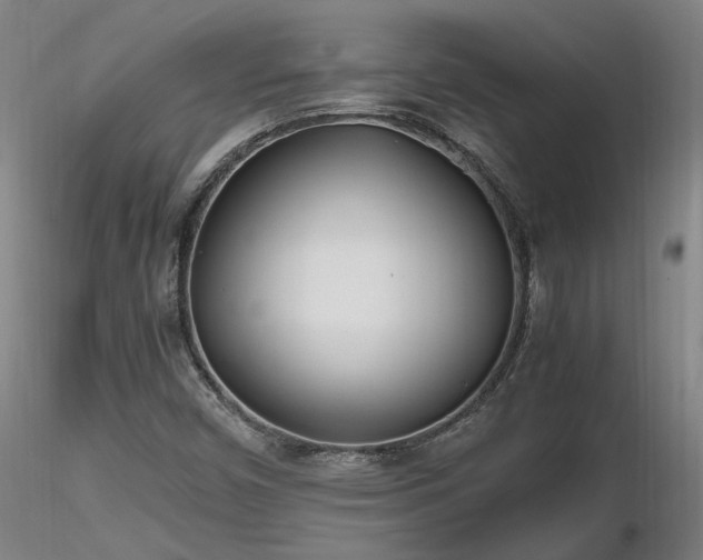X0000116841450200912181446