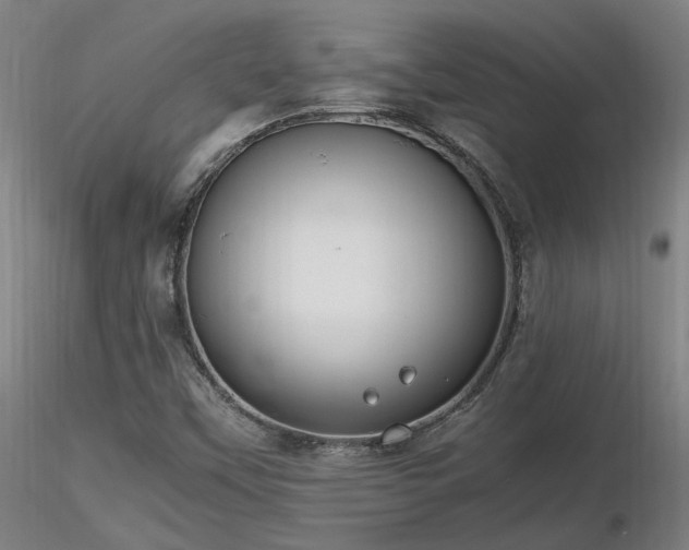 X0000116841451200912181446