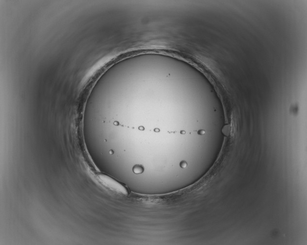 X0000116841452200912181446