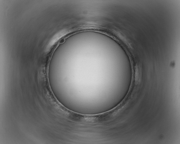 X0000116841453200912181446
