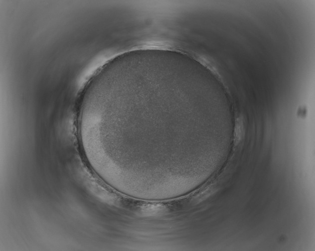 X0000116841454200912181446