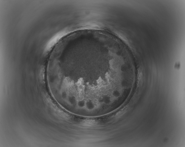 X0000116841455200912181446