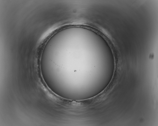 X0000116841456200912181446