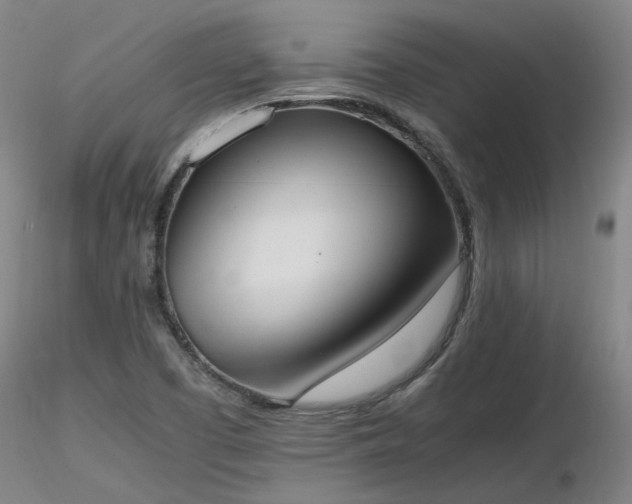 X0000116841457200912181446