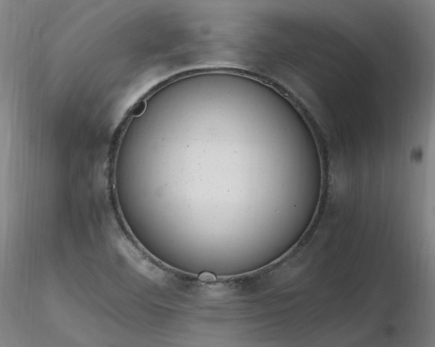 X0000116841460200912181446