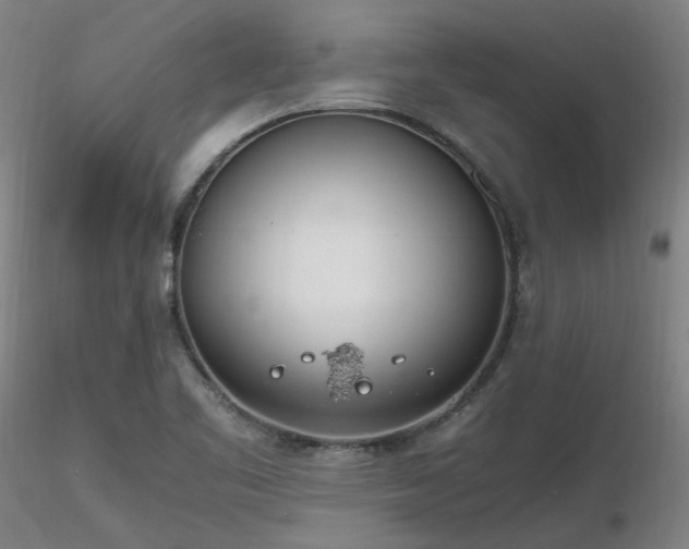 X0000116841461200912181446