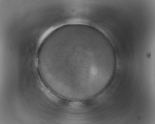 X0000116841462200912181446