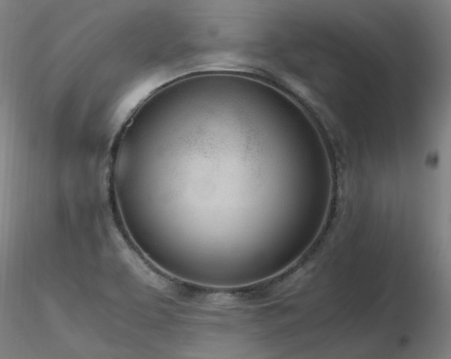 X0000116841463200912181446