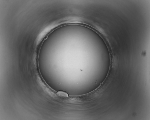 X0000116841464200912181446