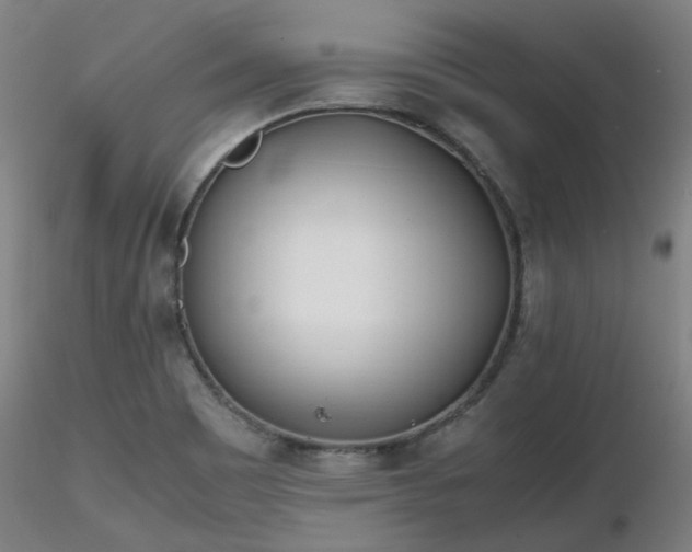 X0000116841465200912181446
