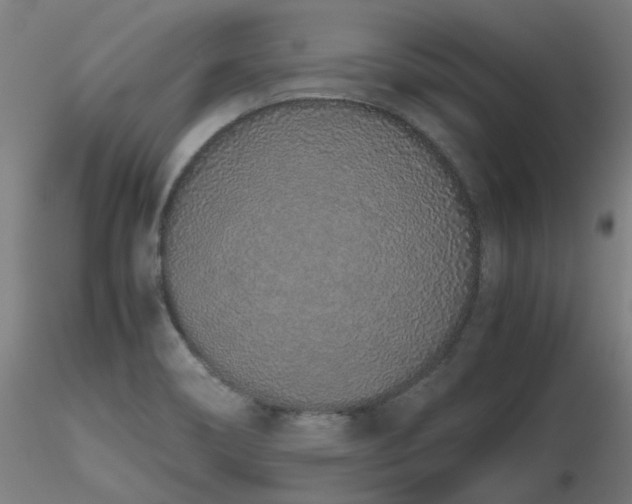 X0000116841466200912181446