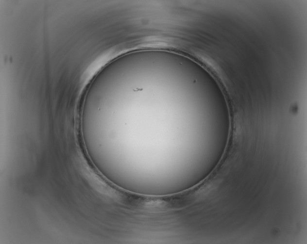 X0000116841467200912181446