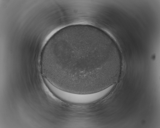 X0000116841468200912181446