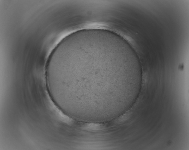 X0000116841470200912181446