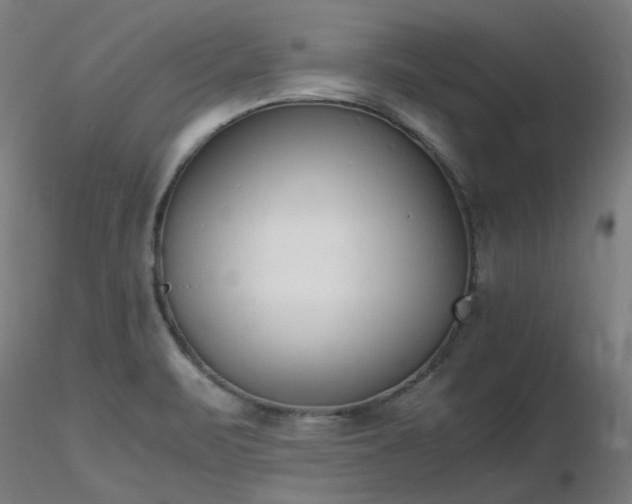X0000116841471200912181446