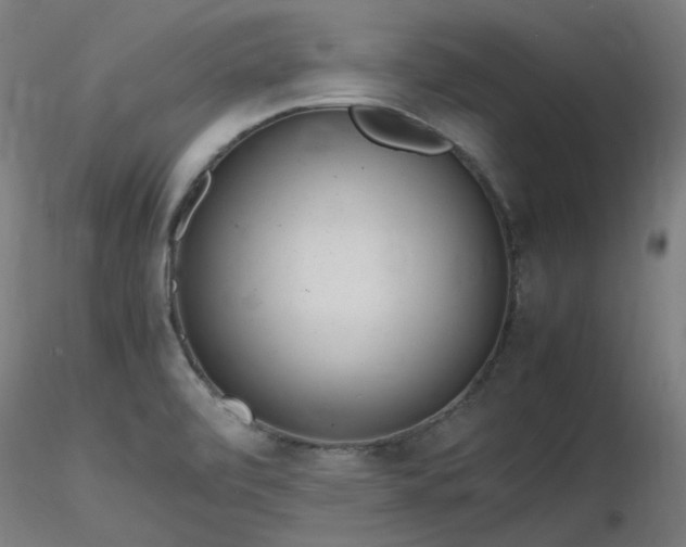 X0000116841472200912181446