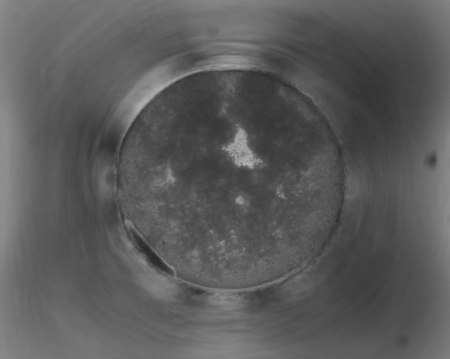 X0000116841473200912181446
