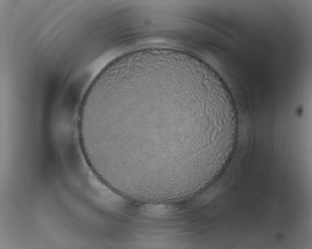 X0000116841474200912181446
