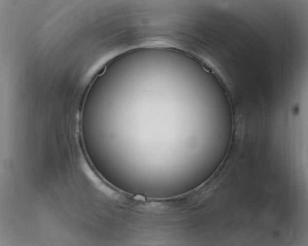 X0000116841476200912181446