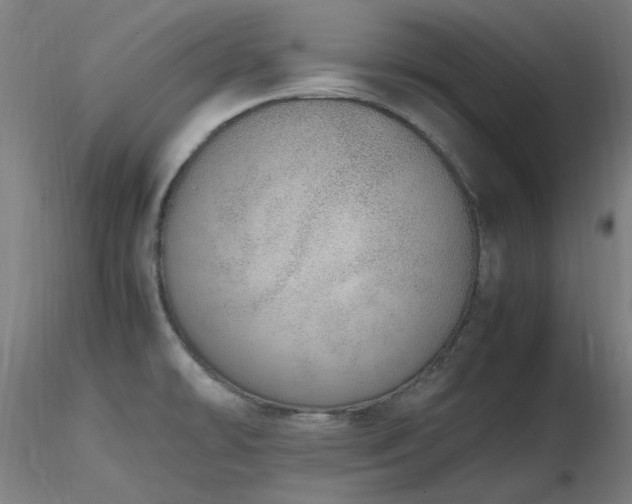 X0000116841478200912181446
