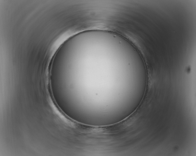 X0000116841479200912181446