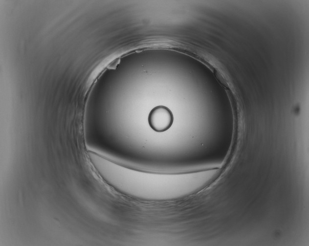 X0000116841481200912181446