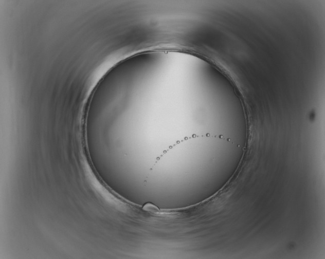 X0000116841483200912181446