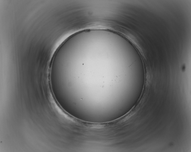 X0000116841484200912181446