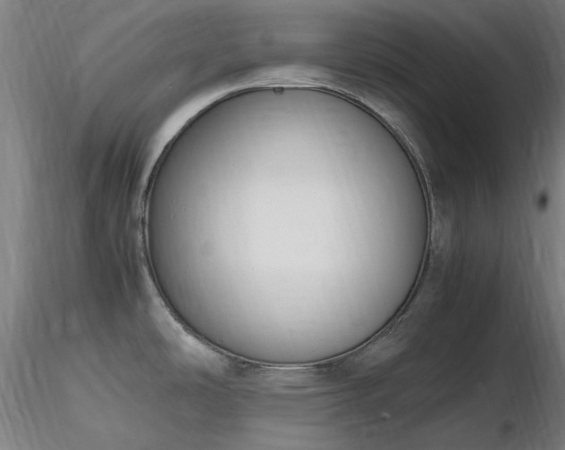 X0000116841486200912181446