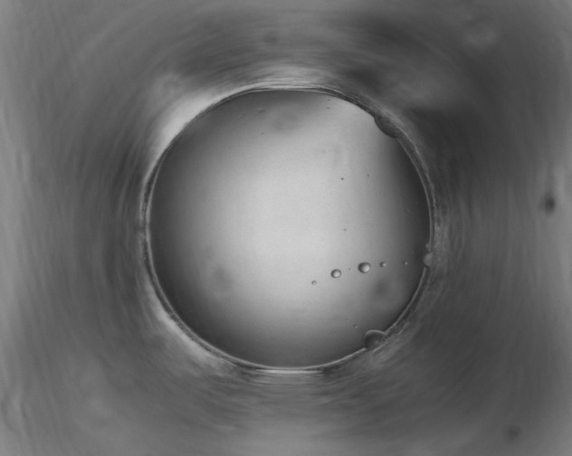 X0000116841487200912181446