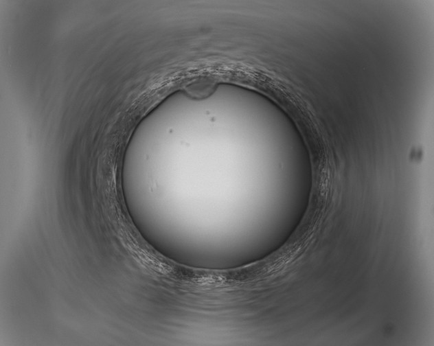 X0000116841489200912181445