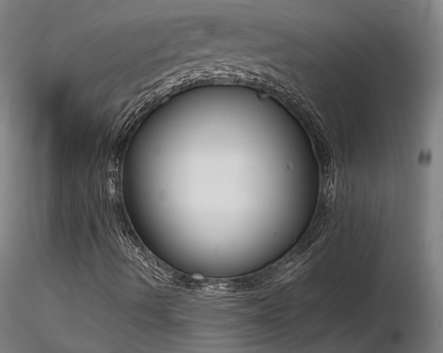 X0000116841490200912181445