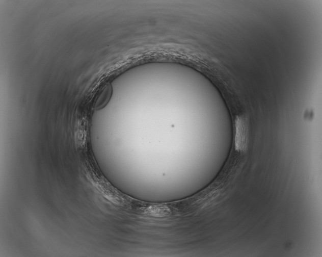X0000116841491200912181445