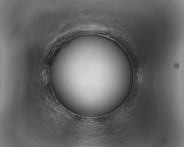 X0000116841493200912181445